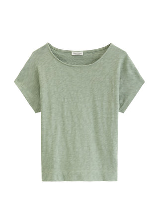3353 Fresh Sage;1