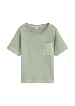 3353 Fresh Sage;1