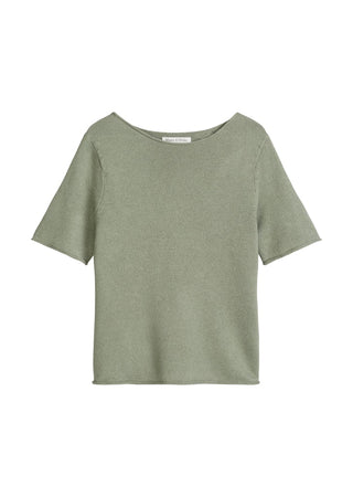 3353 Fresh Sage;1